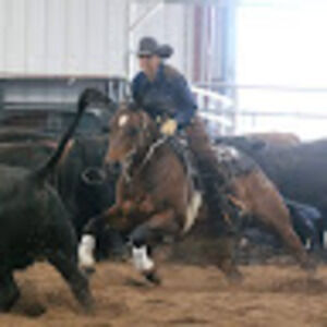 Meet your Posher, Diane